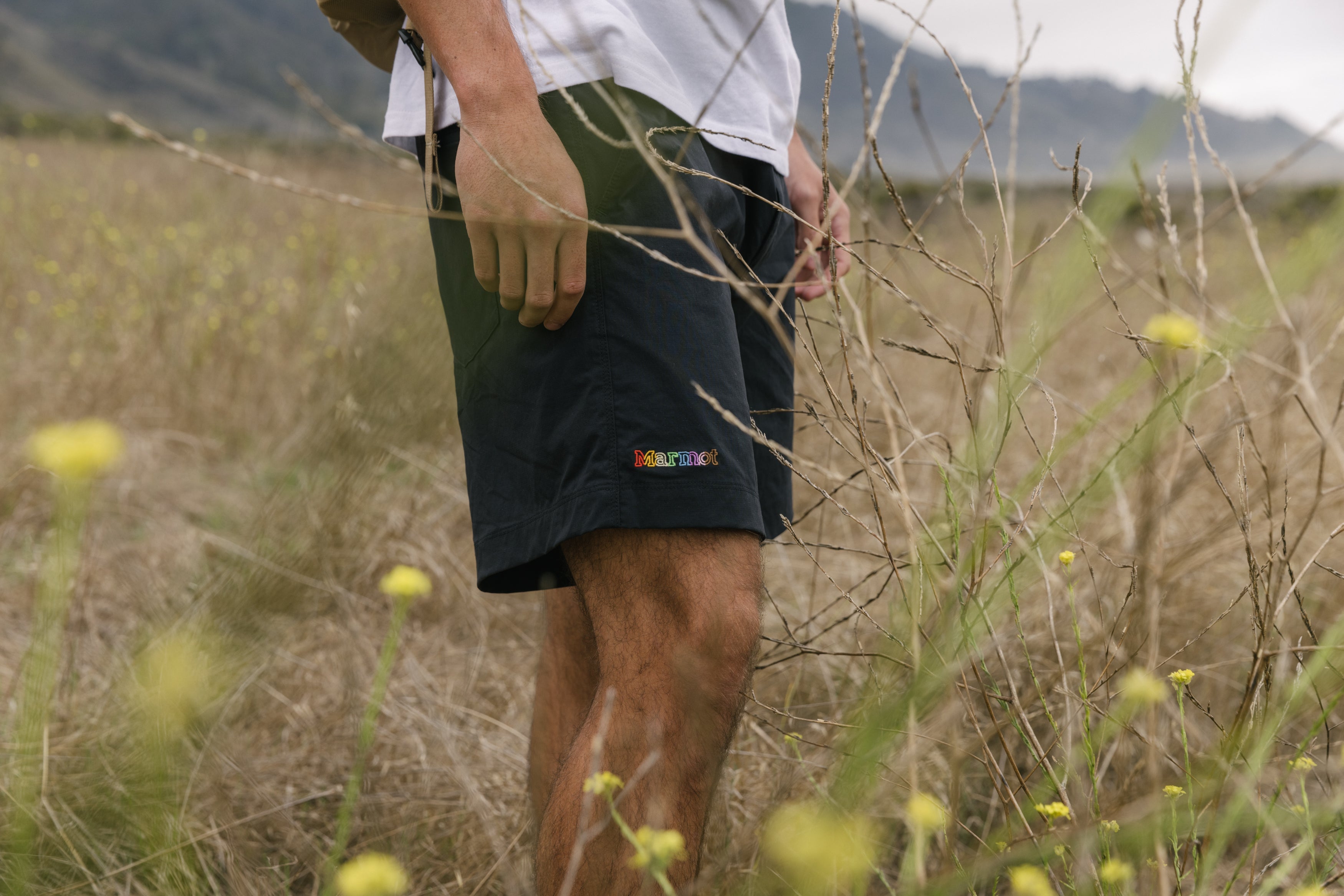 Marmot shorts best sale